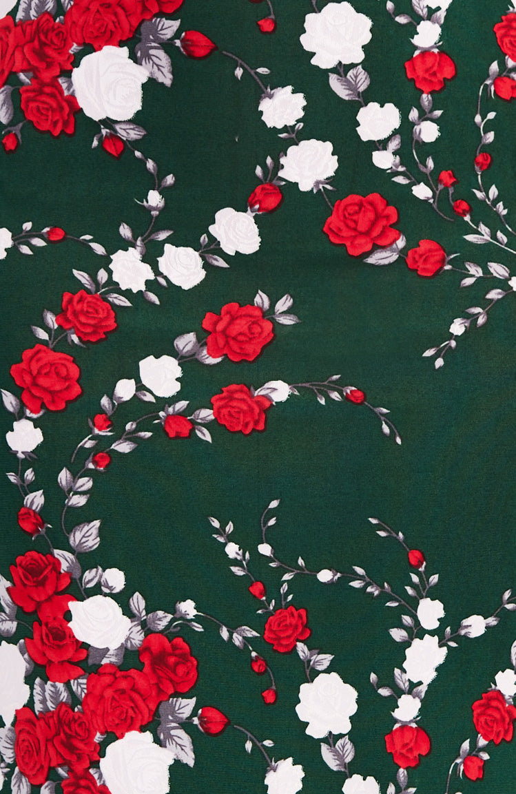 SOFIA - Rose Print Tango Dress